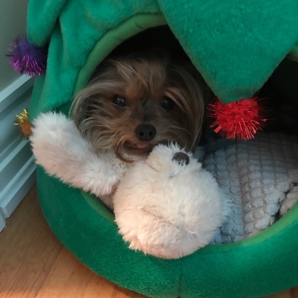 Meet your Posher, Marise r - Picture 2 of 3